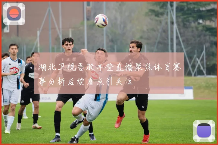 湖北卫视吾股丰登直播聚焦体育赛事分析后续看点引关注